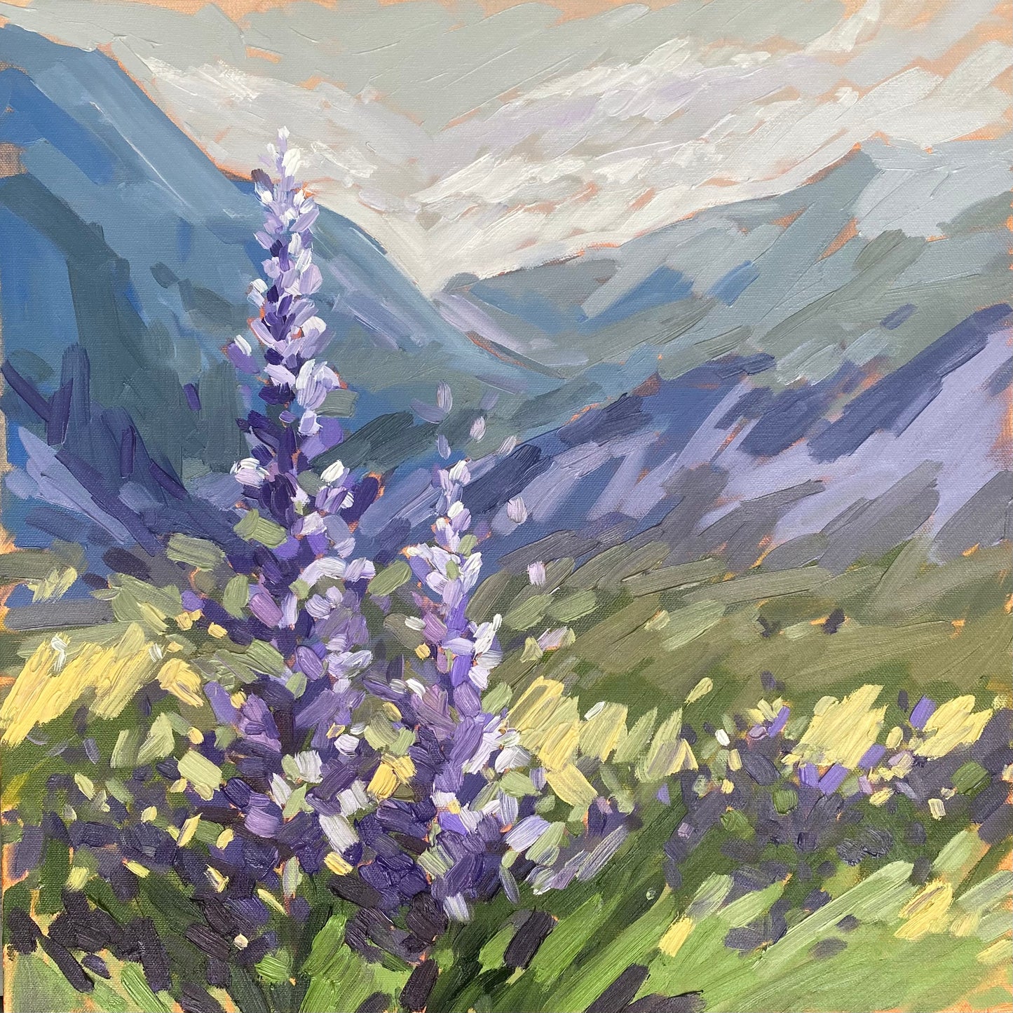 Violet Breath of the Rockies