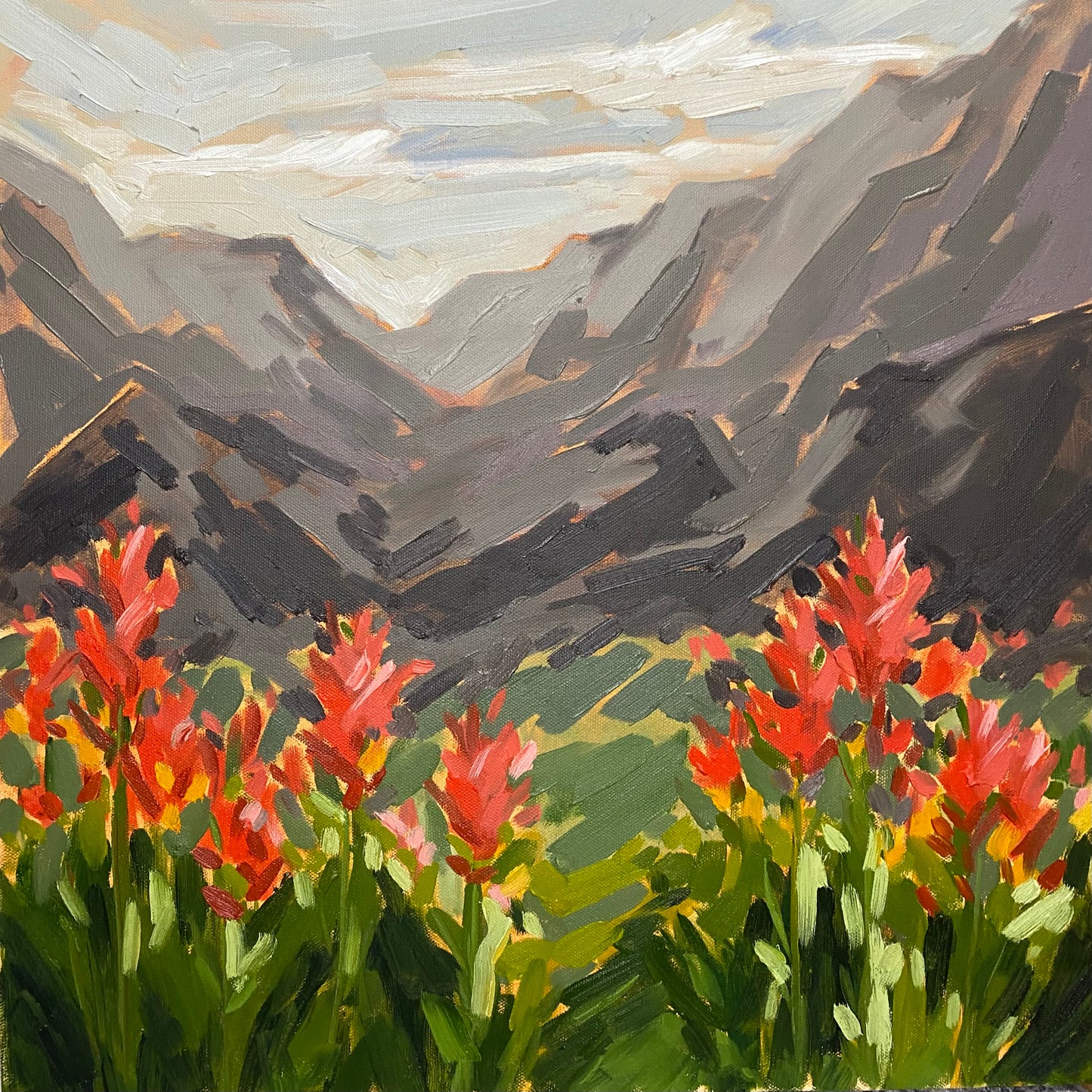 Indian Paintbrush Beneath The Peaks