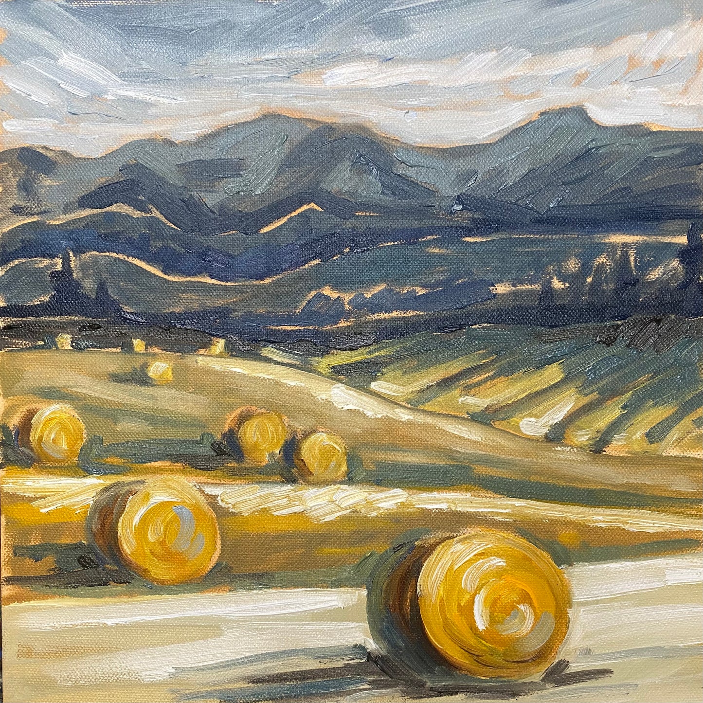 Bales Beneath the Blue Range