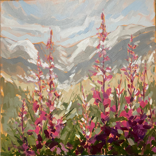 Purple Flame of the Rockies